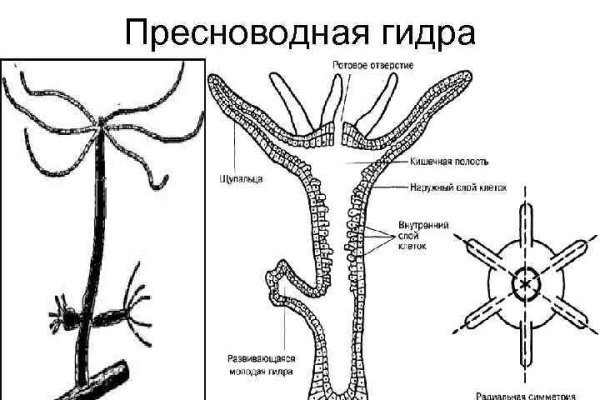 Кракен сайт вход