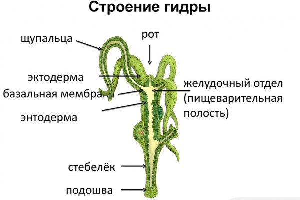 Как войти на сайт кракен