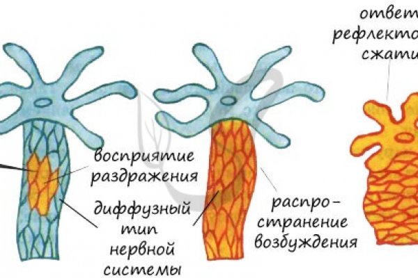 Кракен даркнет сайт ссылка